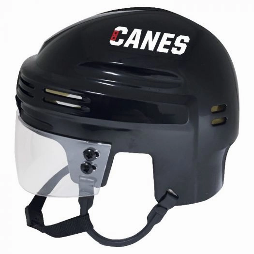Carolina Hurricanes Mini Helmet ?? Black