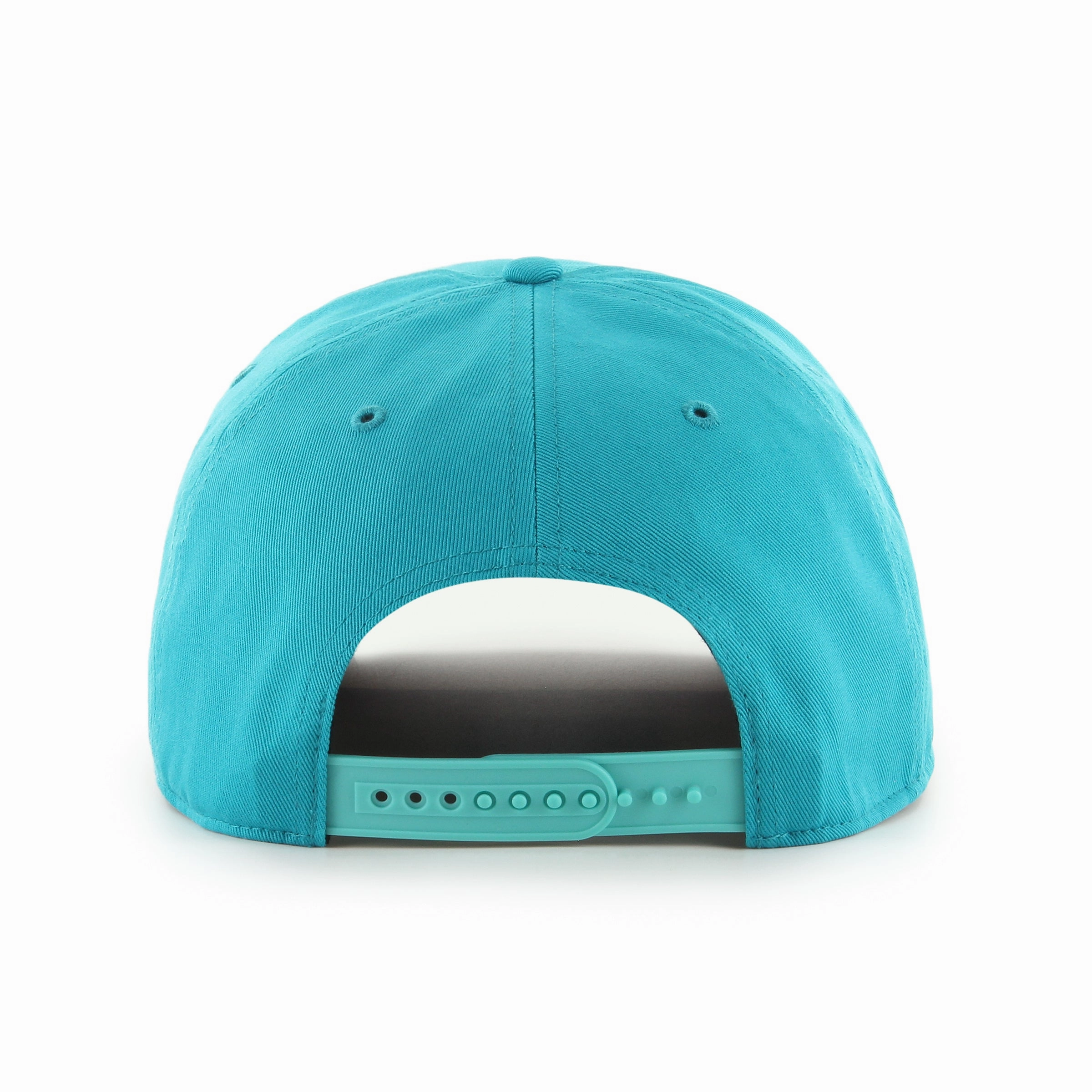 CHARLOTTE HORNETS ROSCOE 