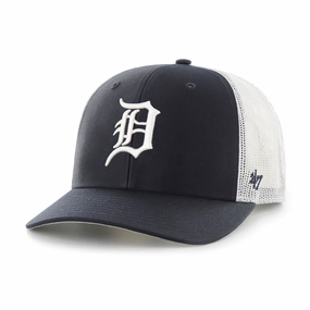 DETROIT TIGERS 