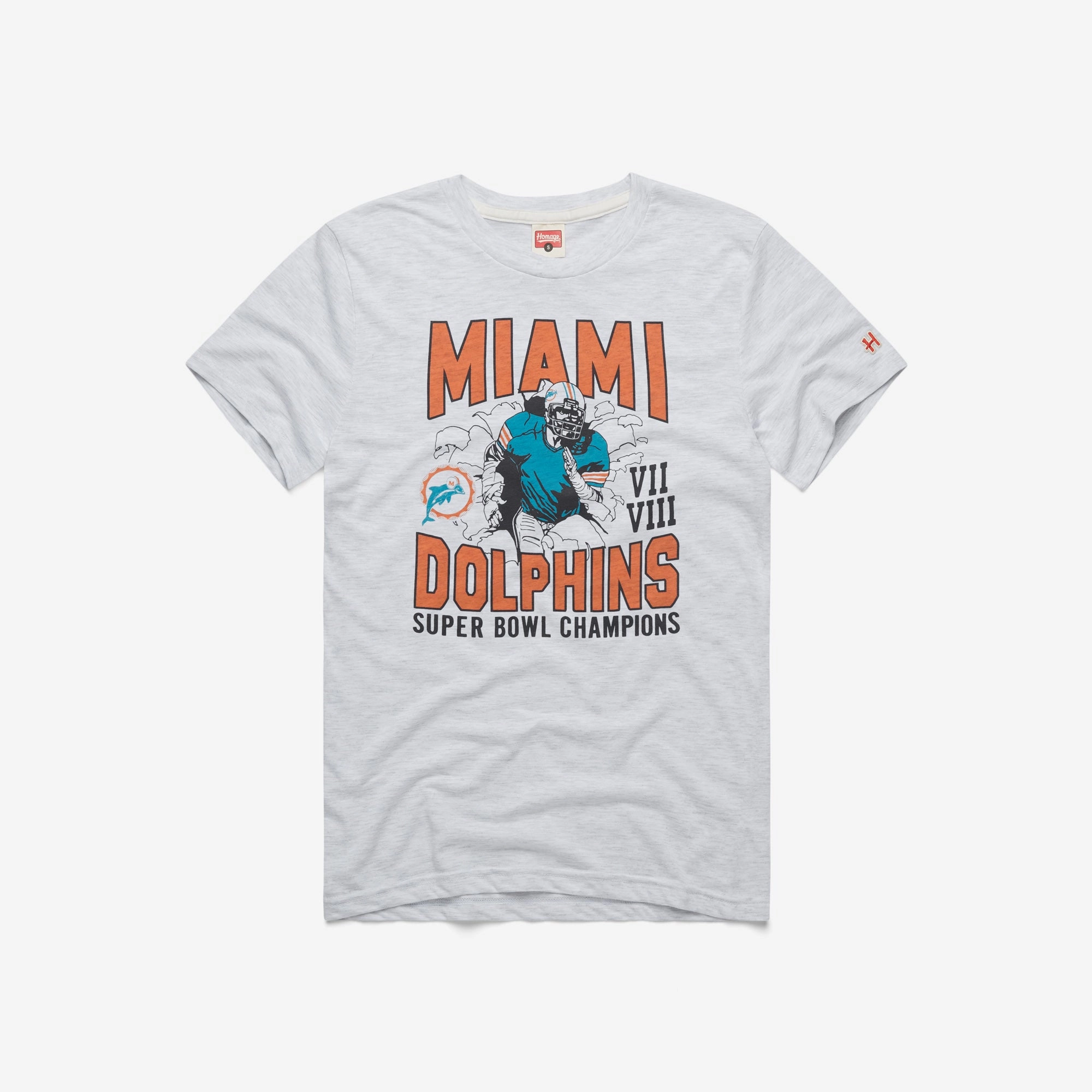 Dolphins 2 Time Super Bowl Champions