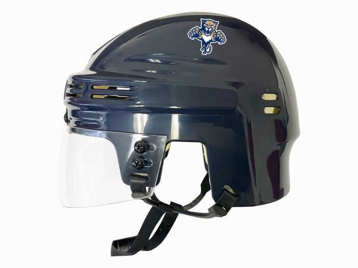 Florida Panthers Mini Helmet ?? Navy