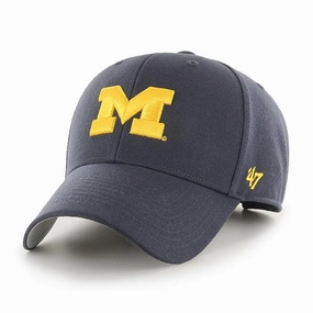 MICHIGAN WOLVERINES 
