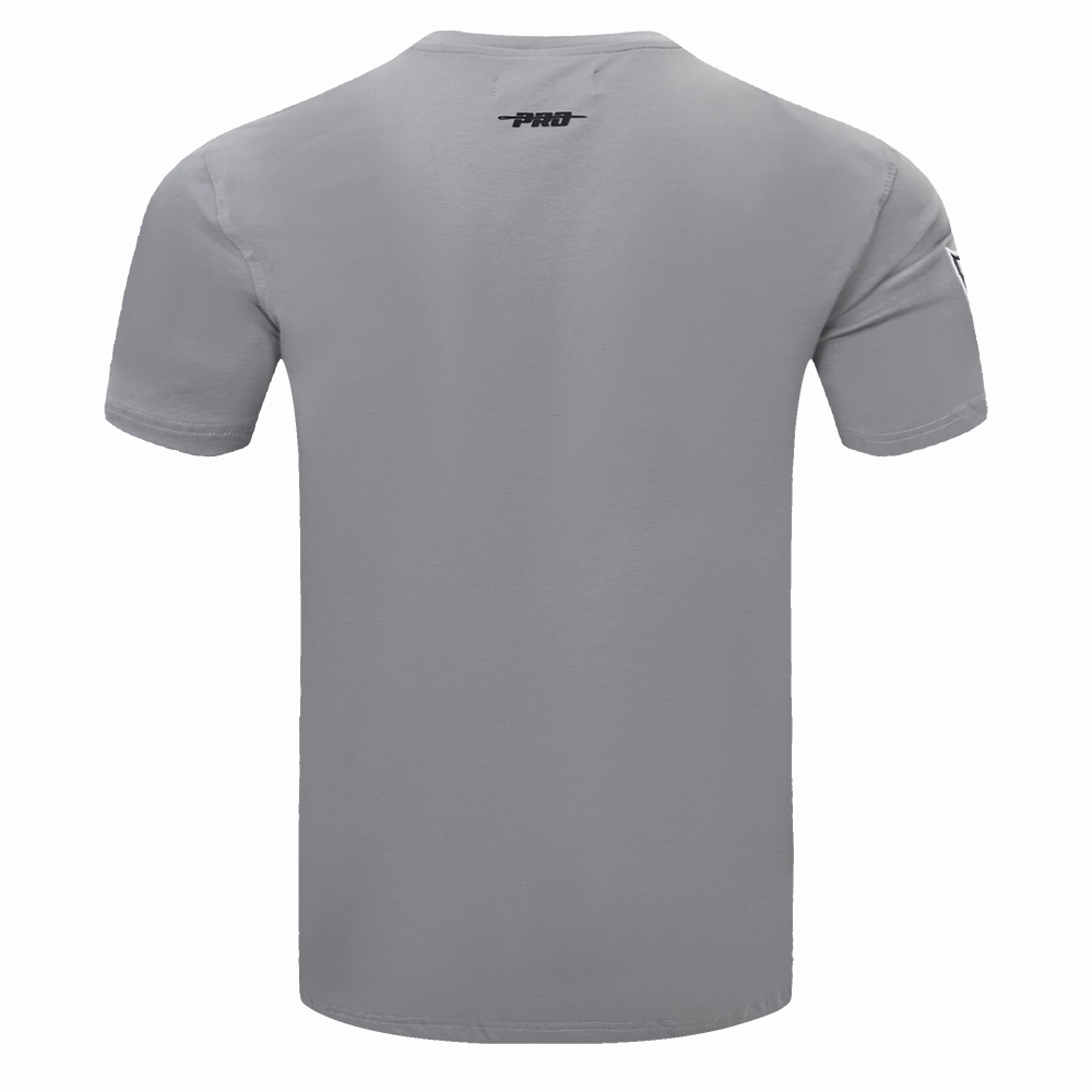 NFL LAS VEGAS RAIDERS SCRIPT TAIL MEN'S   TEE (GRAY)