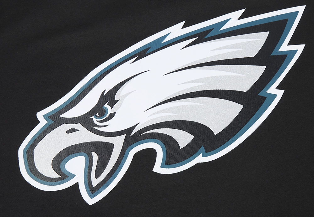 NFL PHILADELPHIA EAGLES CLASSIC MESH MEN'S SINGLE JERSEY STRIPED TEE (BLACK)