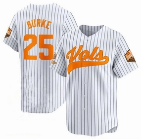 T.Volunteers #25 Blake Burke White Pinstripe 2024 Champions Vapor Limited Stitched College Jerseys