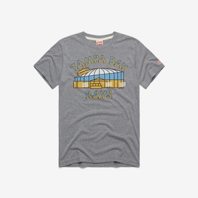 Tampa Bay Rays Tropicana Field Retro