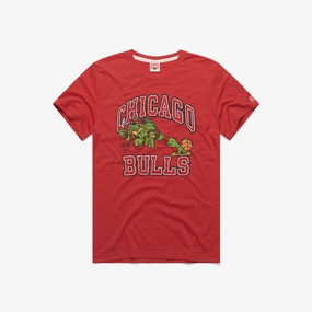 TMNT Raphael X Chicago Bulls
