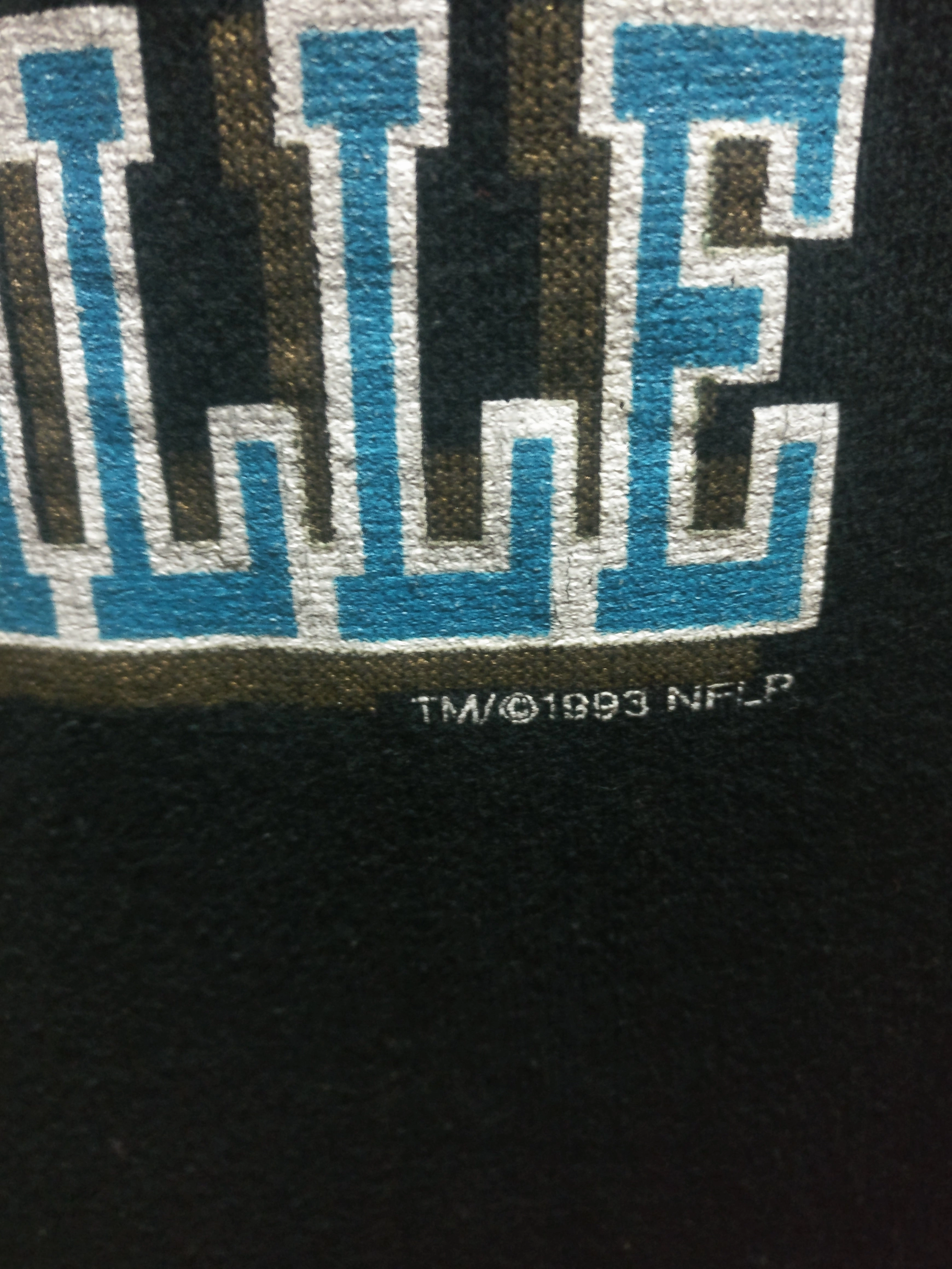 Vintage '93 JACKSONVILLE JAGUARS NFL Competitor Sweatshirt  YL